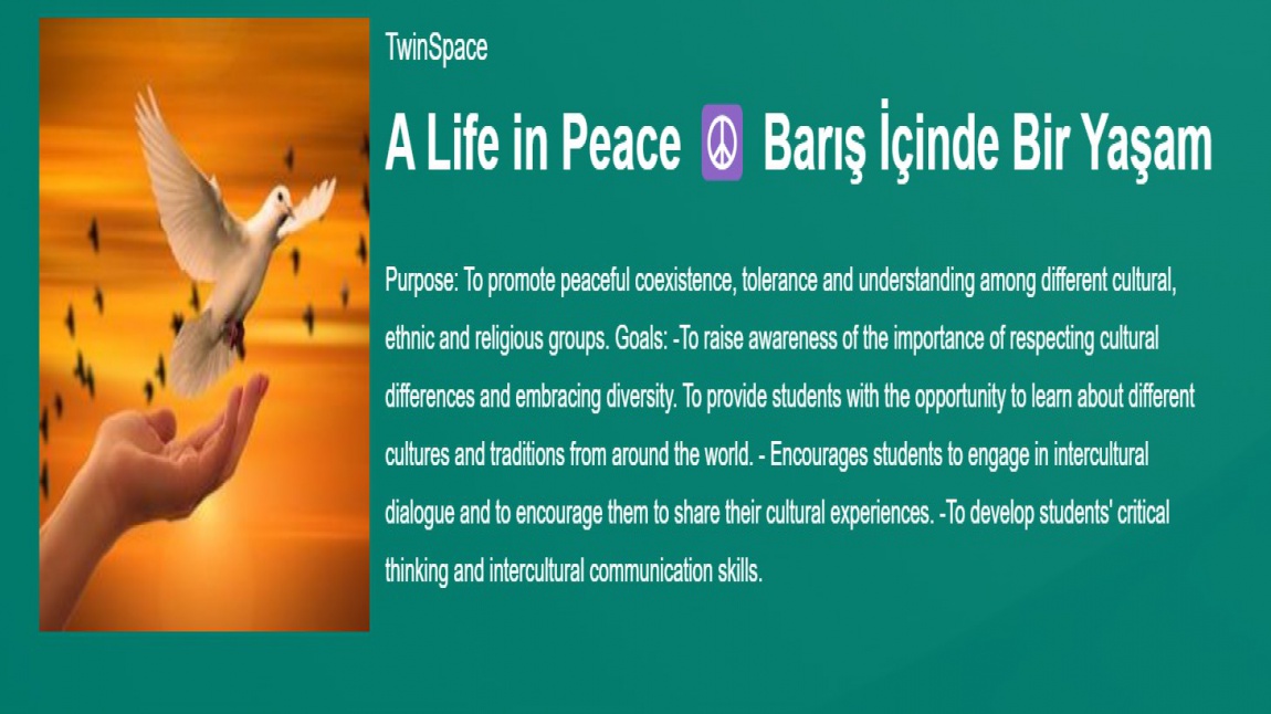 A Life in Peace (Barış İçinde Bir Yaşam) - E-Twinning Projesi